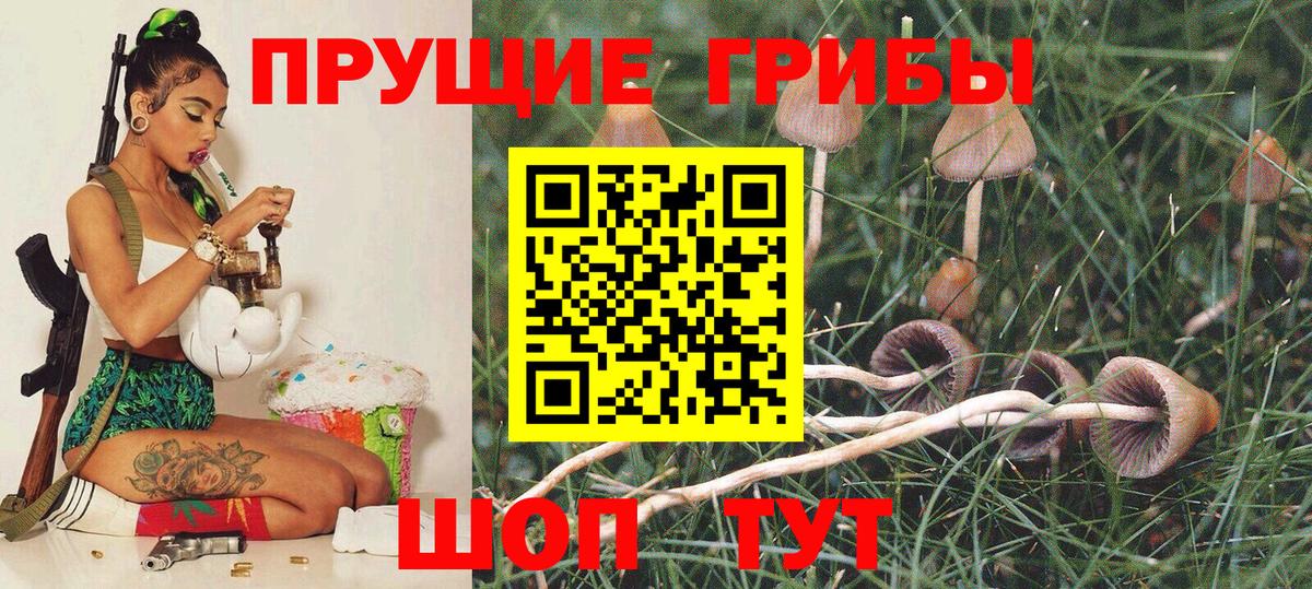 Галлюциногенные грибы ЛСД  Вход с VPN  Новокубанск 