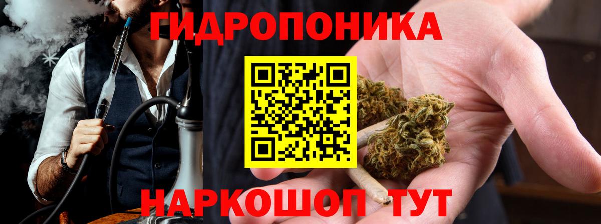 Канабис OG Kush Новокубанск